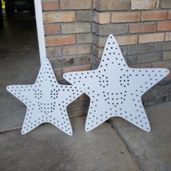 Singing Stars